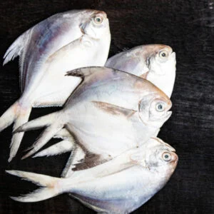 Silver Pomfret / Paplet (पापलेट) - Small (4 Count)