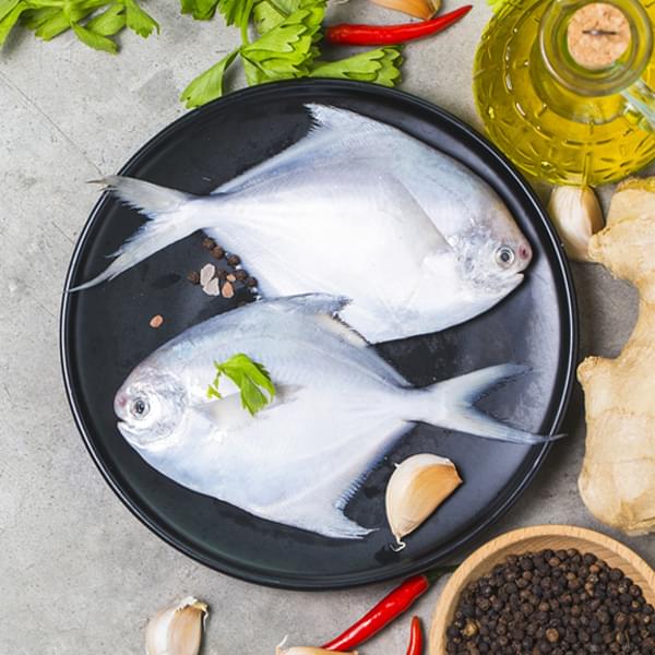 Silver Pomfret / Paplet (पापलेट) - Large (2 Count)