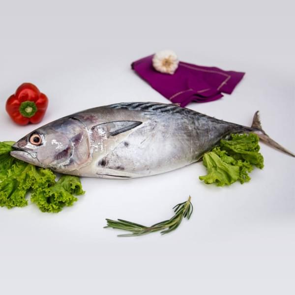 Tuna Fish / Kupa (खवळी कुप्पा)