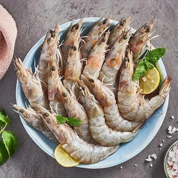 Shell Fish